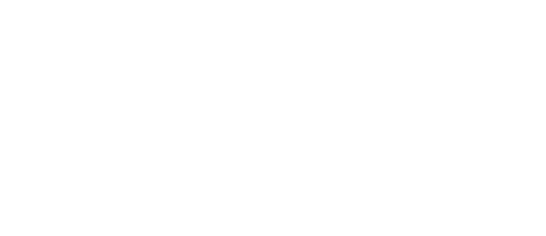 Dana Shotz logo